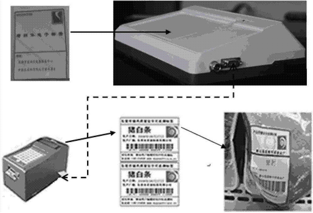 Method of pig carcass marking and data collection and data conversion