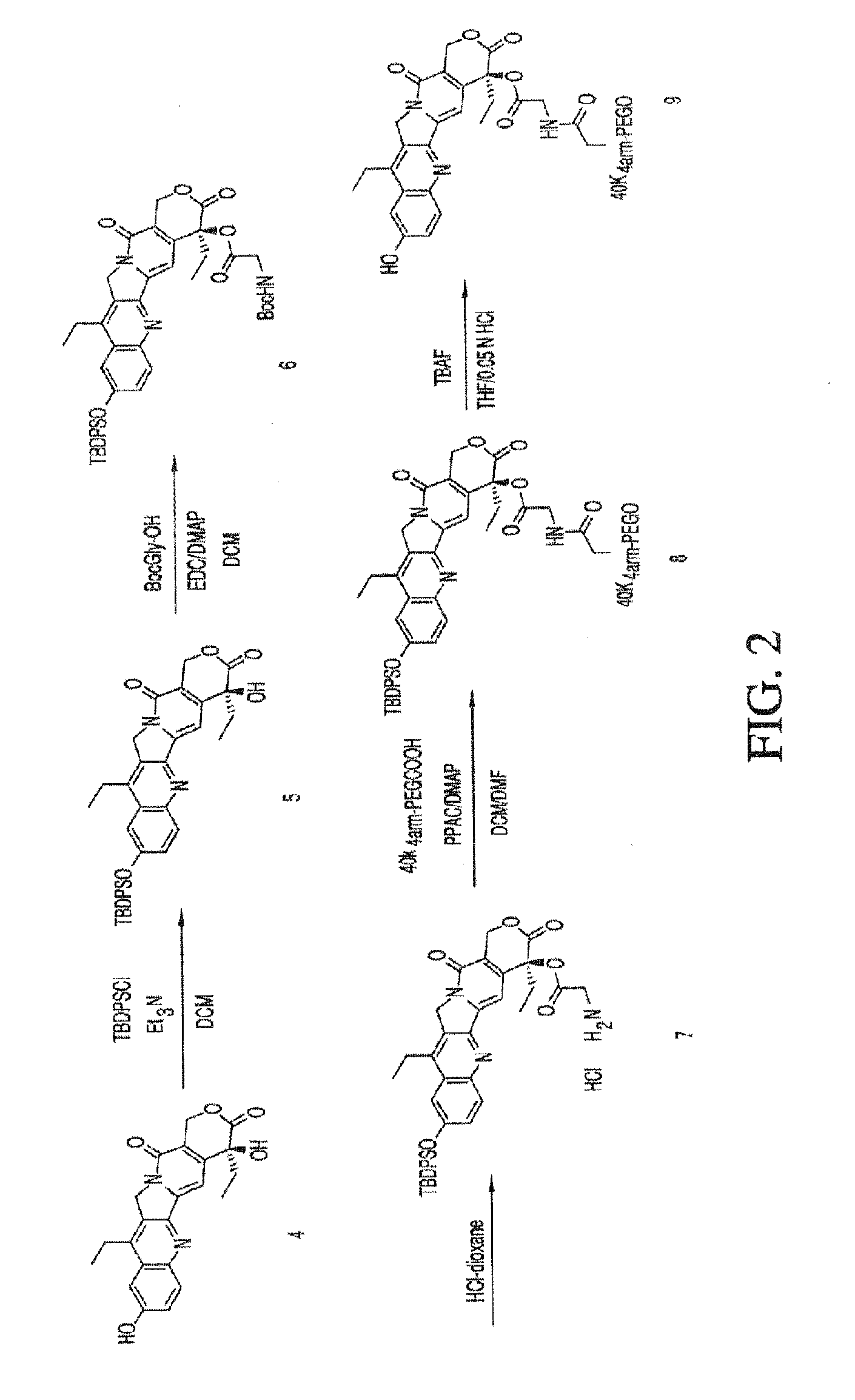 Methods for inhibiting angiogenesis with multi-arm polymeric conjugates of 7-ethyl-10-hydroxycamptothecin