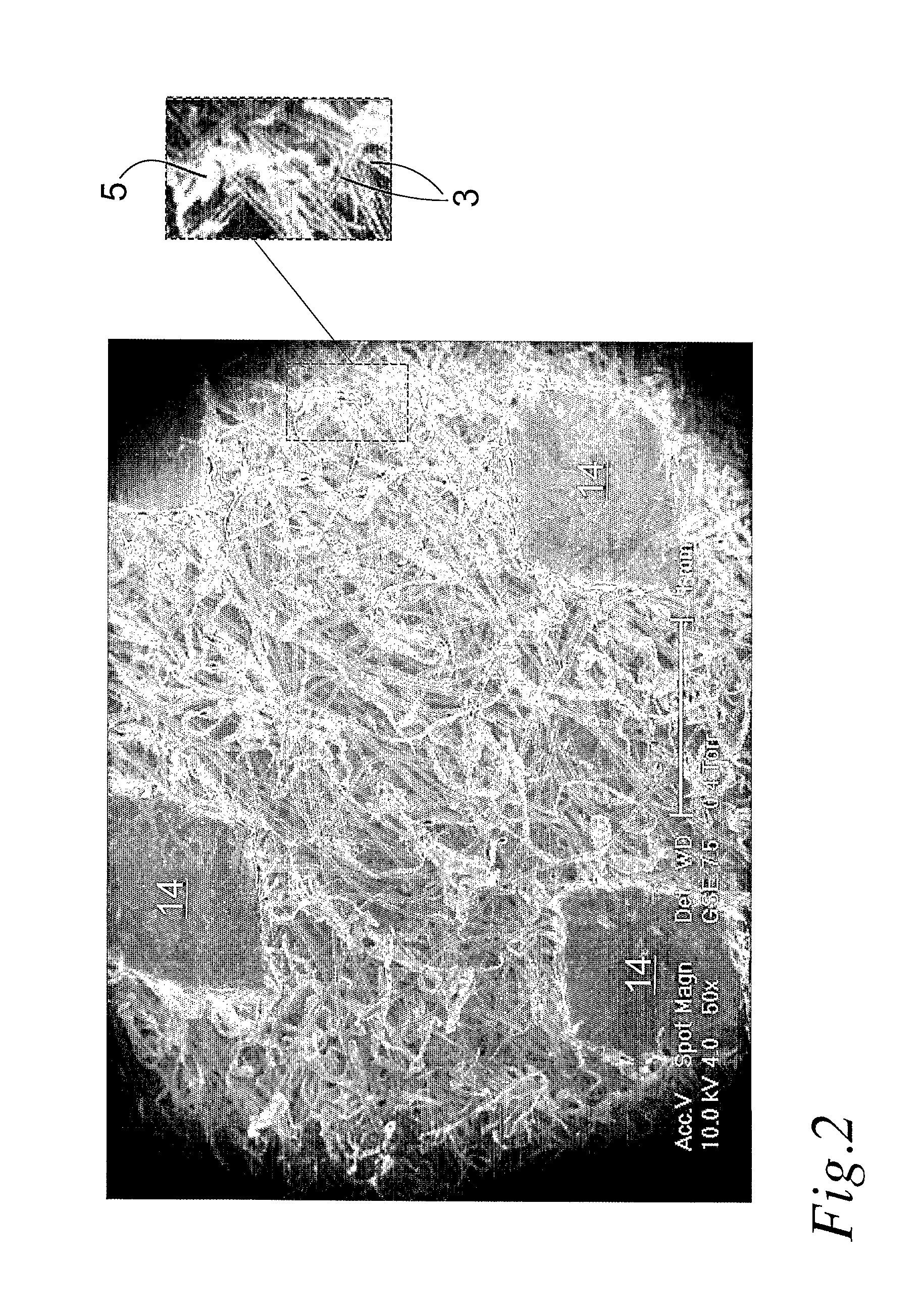 Hydroentangled nonwoven material