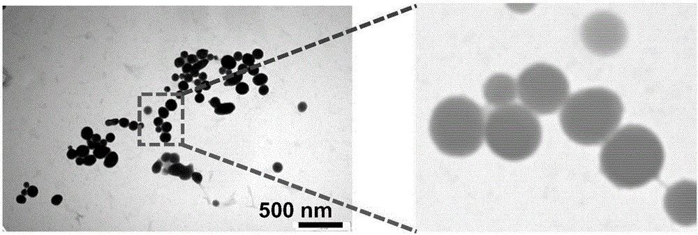 Application of nano-selenium serving as CIK (cytokine-induced killer) cell sensitizer