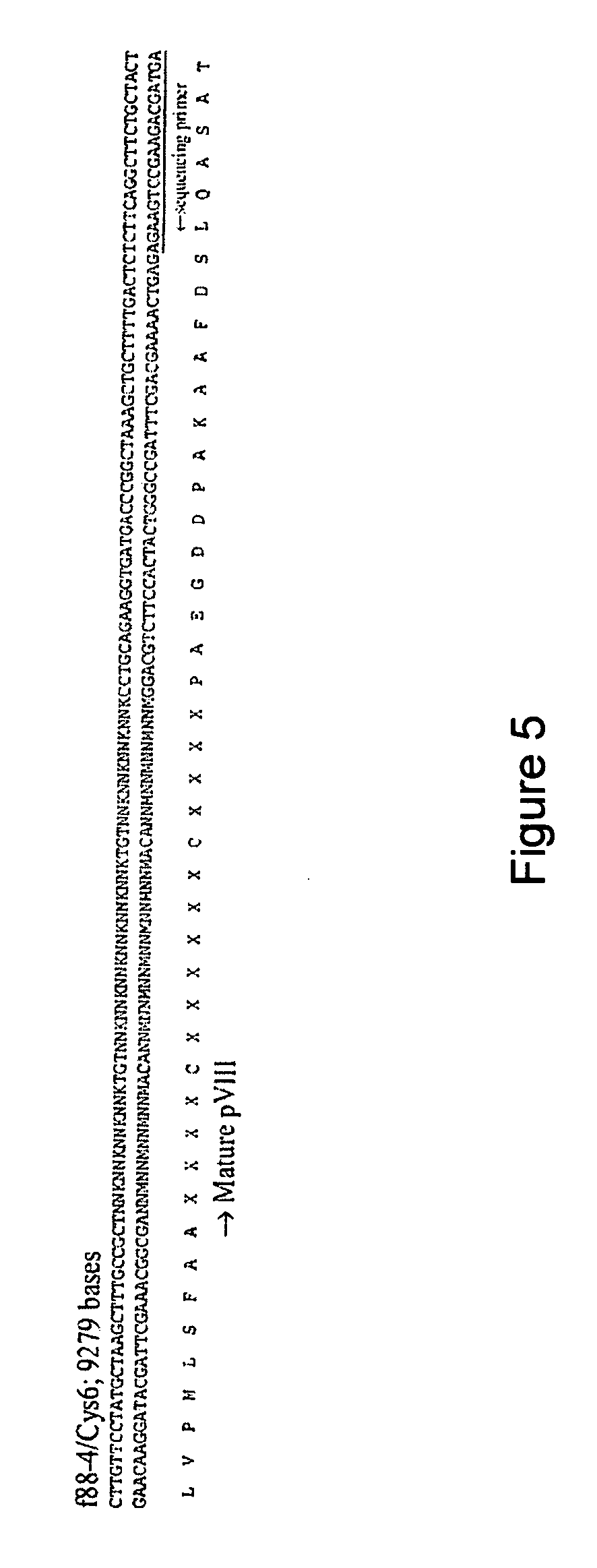 Biomarkers of vulnerable atherosclerotic plaques and methods of use