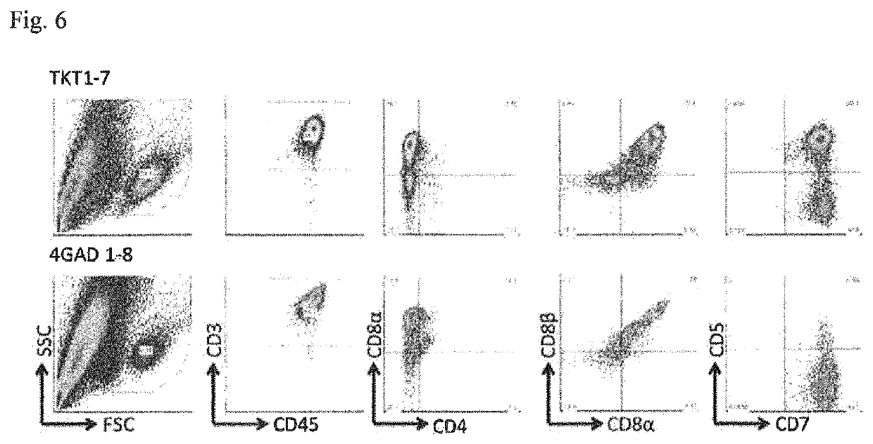 Method for induction of T cells from pluripotent stem cells