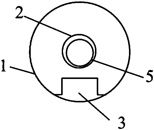 Interventional oxygen partial pressure-temperature compound probe