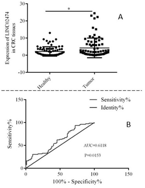 Application of LINC024724 as colorectal cancer diagnosis marker and treatment target