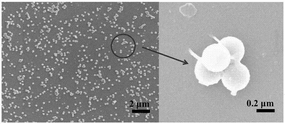 A kind of intelligent hydrogel and its preparation method and application