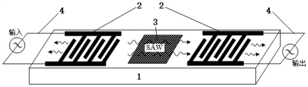 Surface acoustic wave hydrogen sensor based on synergistic effect of load mass and conductivity and preparation method thereof