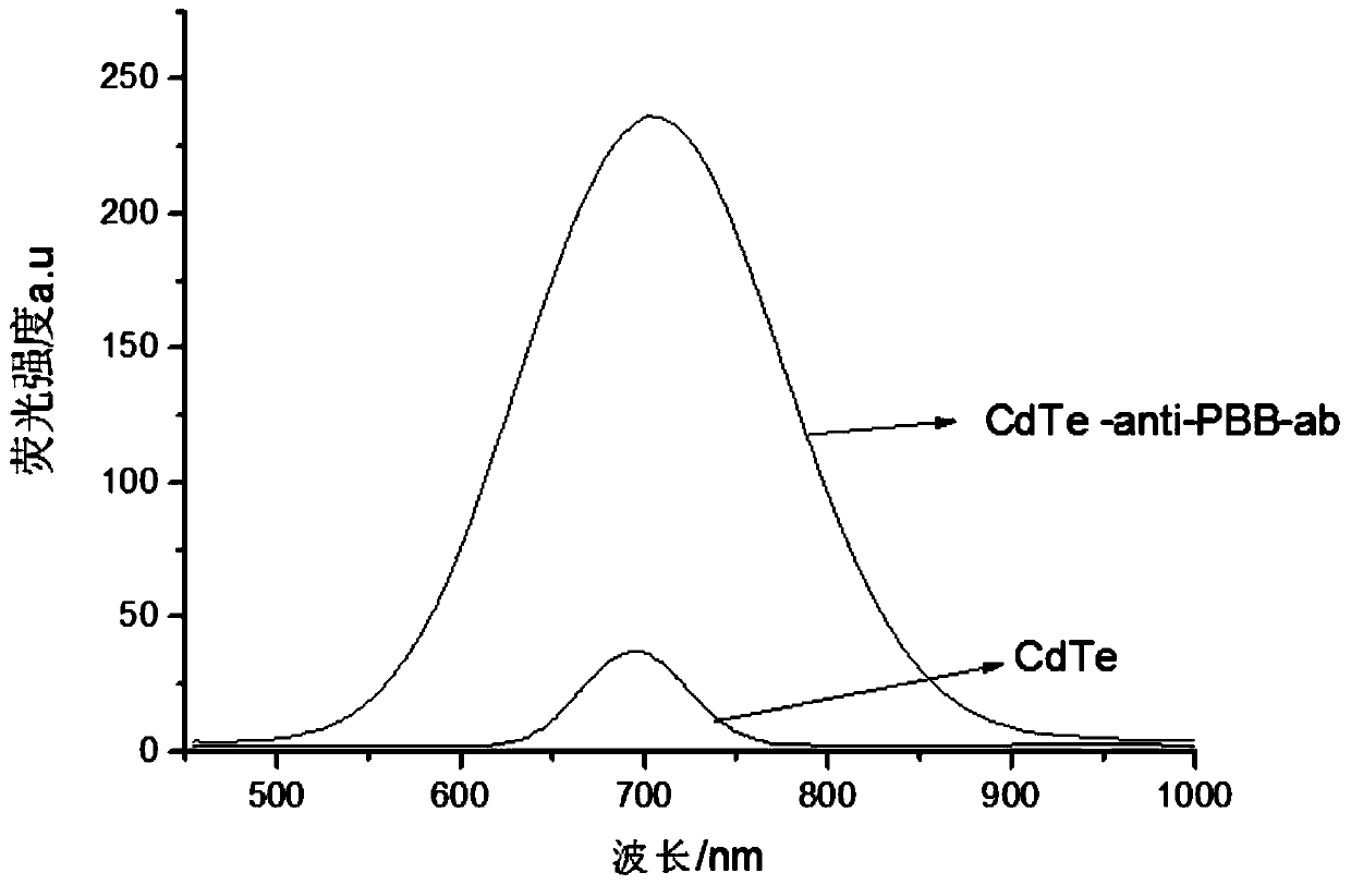 Preparation method and application for CdTe labeled antibodies and method for detecting polybrominated biphenyl