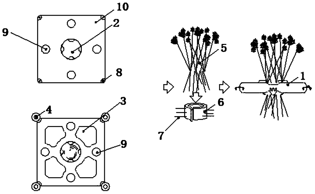 Planting unit suitable for vegetation restoration in desert areas