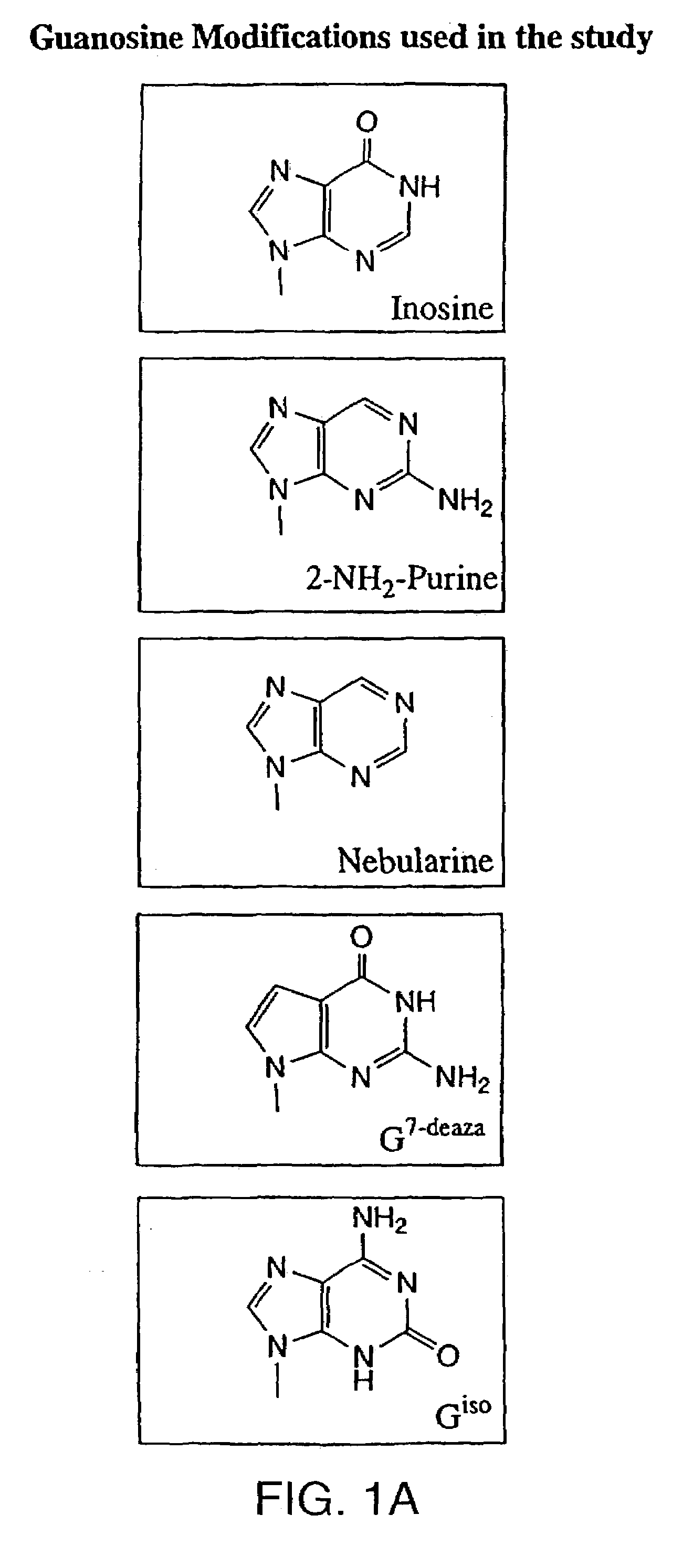 Modulation of oligonucleotide CpG-mediated immune stimulation by positional modification of nucleosides