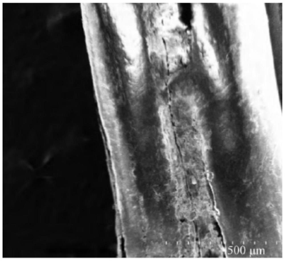 A kind of preparation technology of chloramphenicol adsorbent