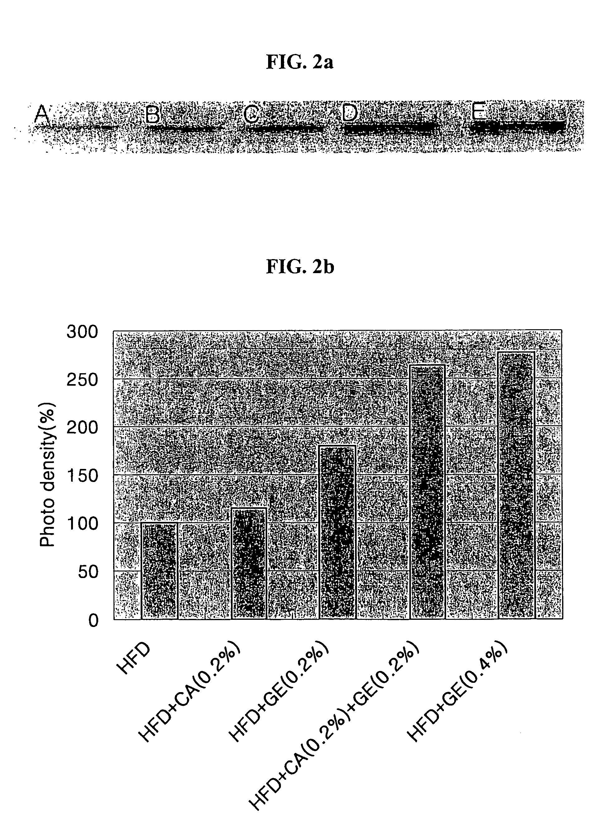 Compositions for the improvement of obesity