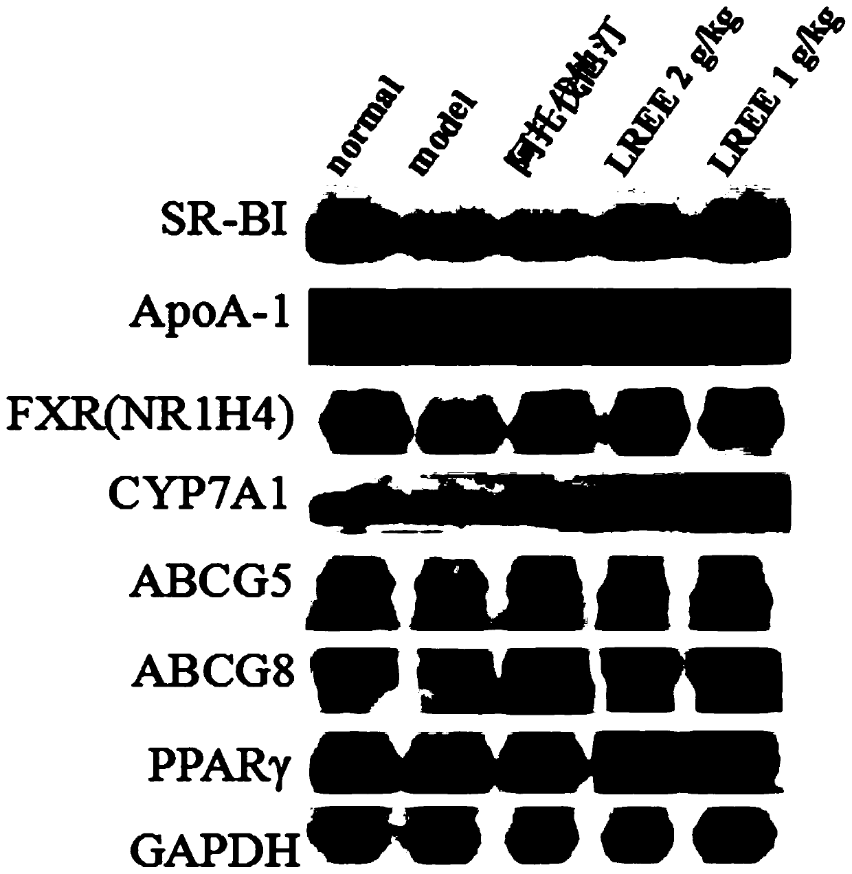 A kind of extract that promotes cholesterol reverse transport and its preparation method and application