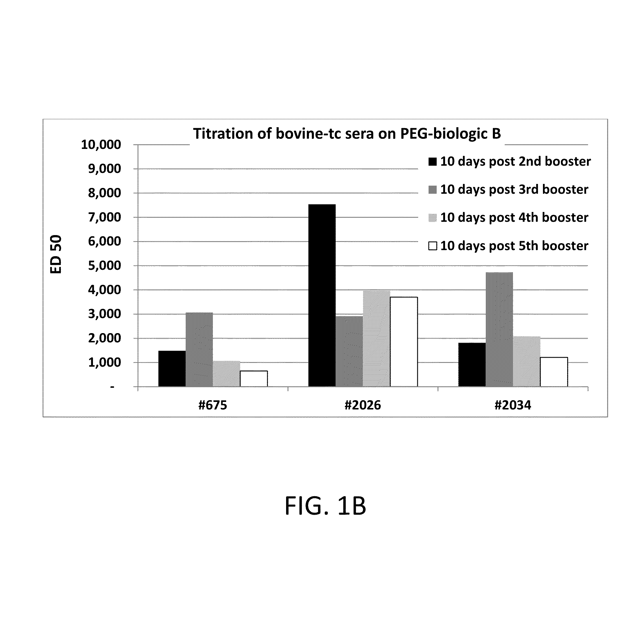 Human fc-bearing igg antibodies to polyethylene glycol