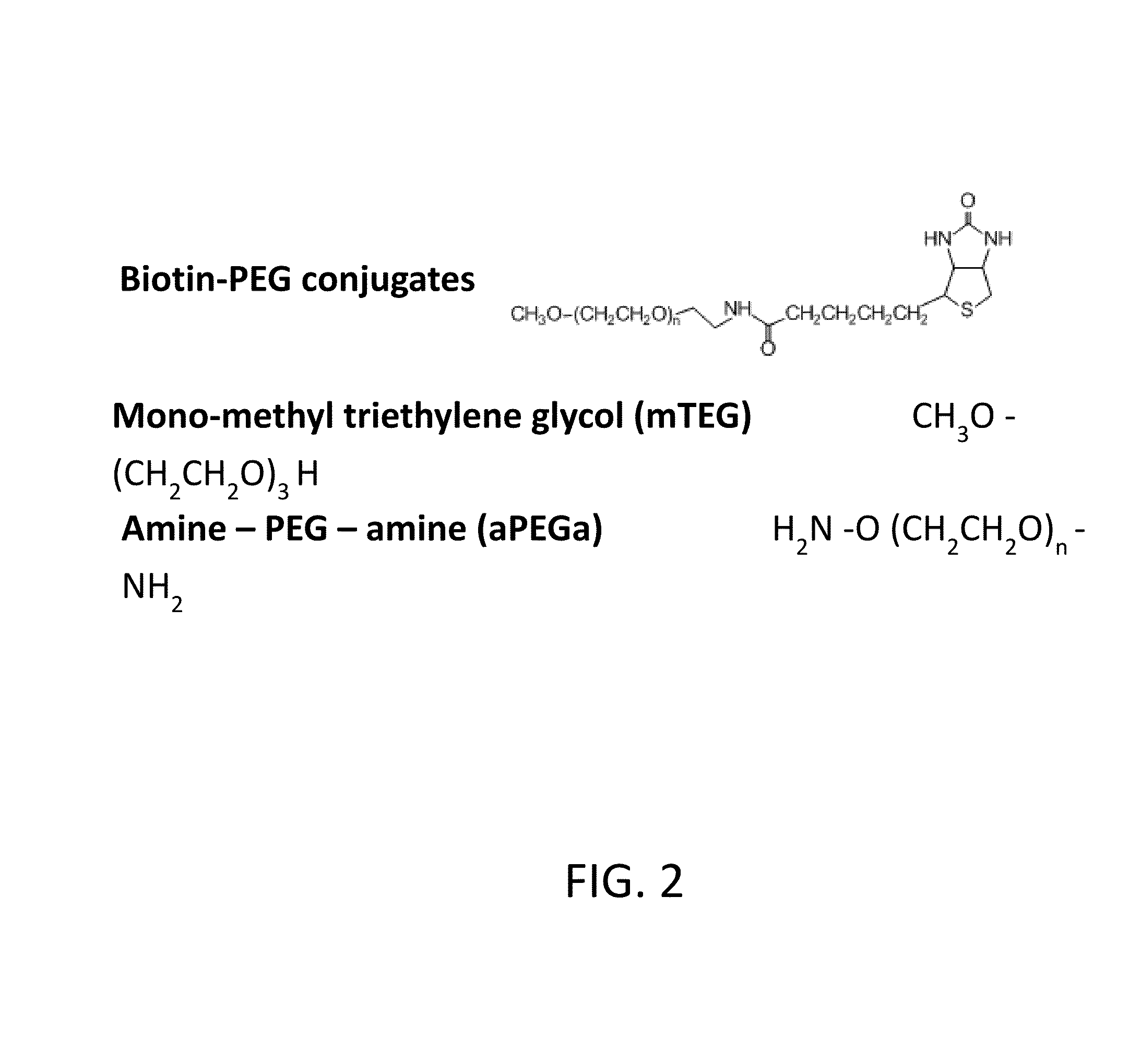 Human fc-bearing igg antibodies to polyethylene glycol