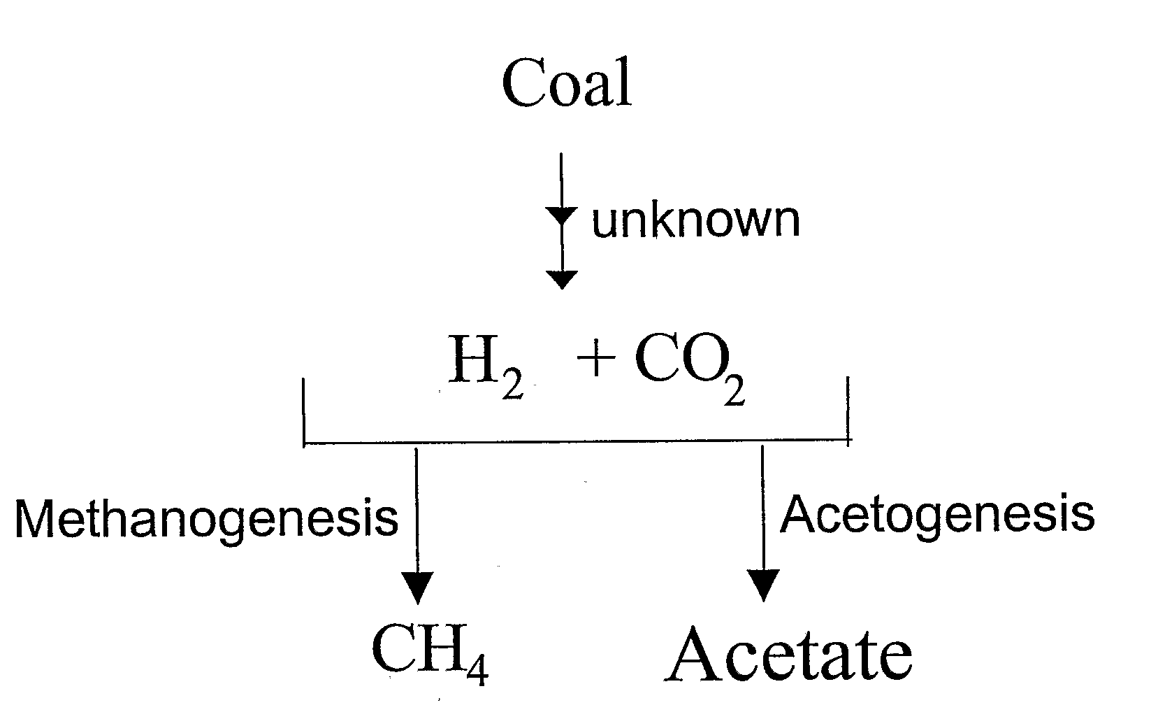 Generation of Hydrogen from Hydrocarbon Bearing Materials