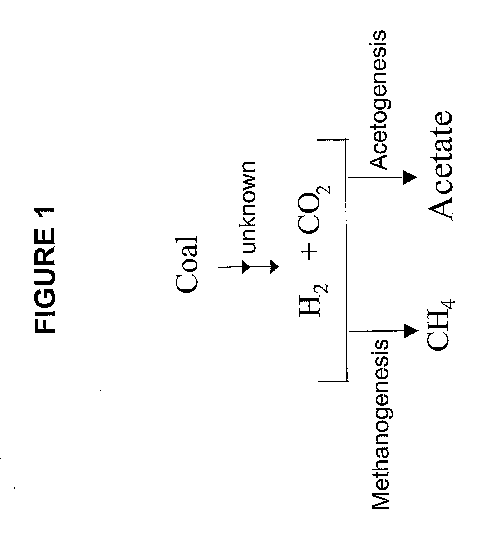 Generation of Hydrogen from Hydrocarbon Bearing Materials