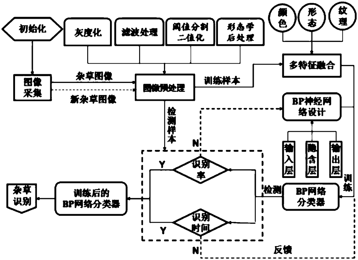 A method for identifying weeds in paddy field based on multi-feature fusion and BP neural network and its application