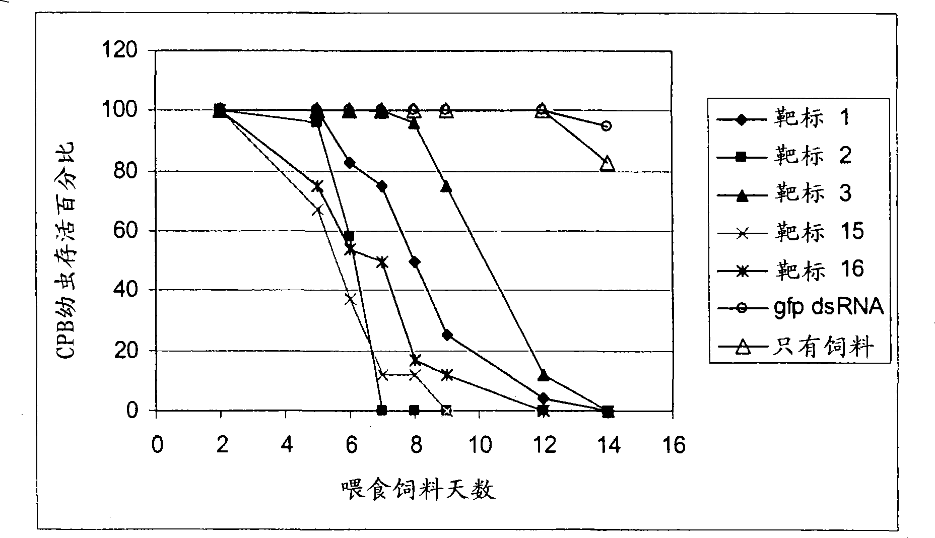 dsRNA as insect control agent