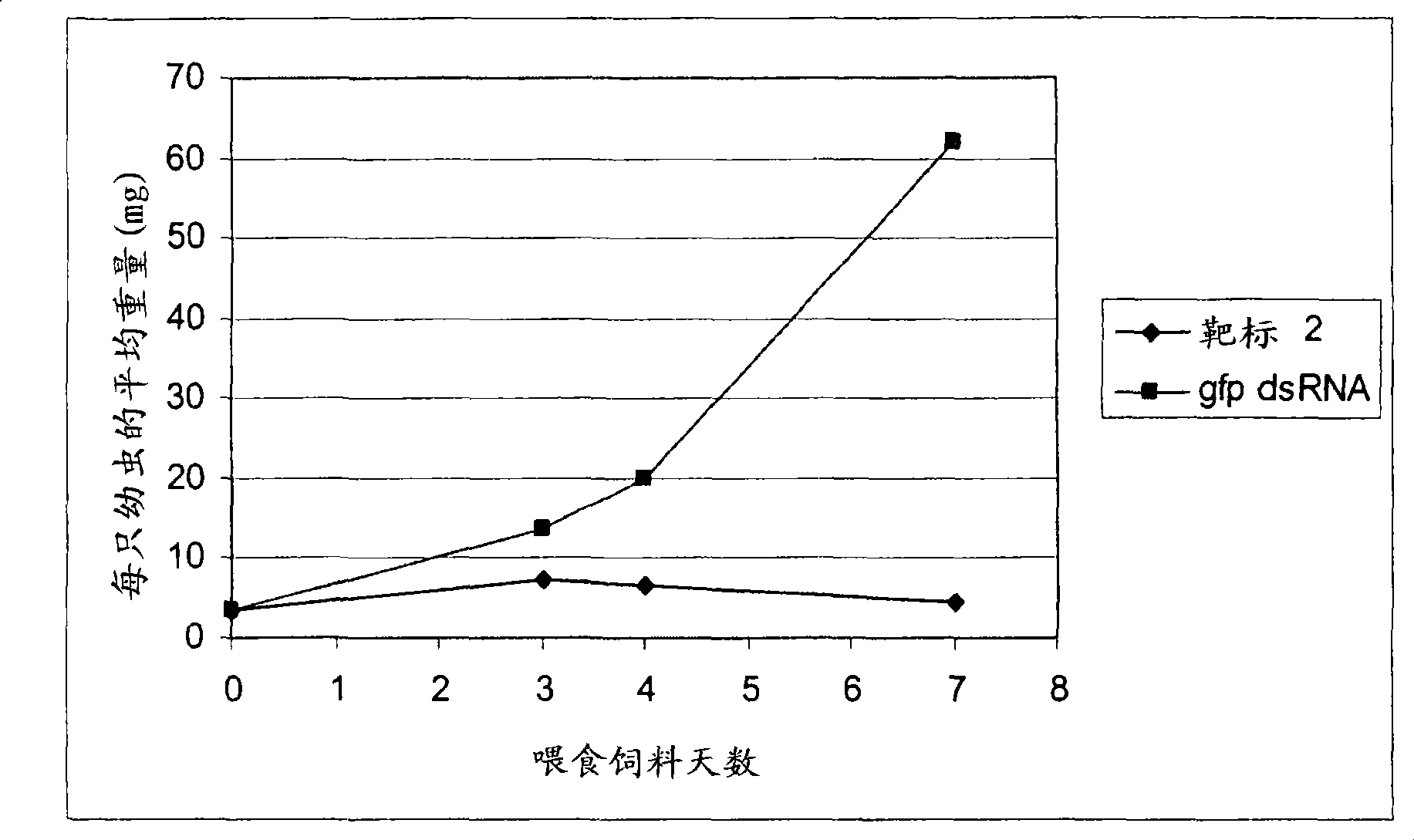 dsRNA as insect control agent