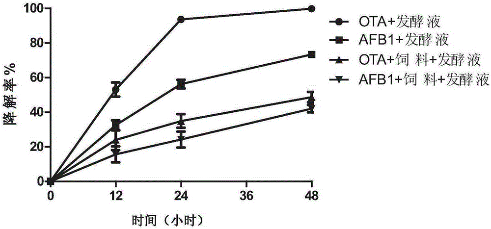 Lysobacter capable of efficiently degrading aflatoxin B1 and ochratoxin A and application of Lysobacter