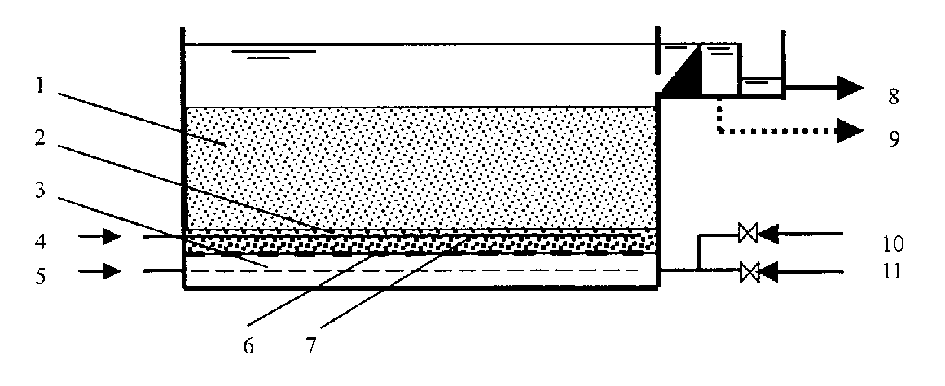 Process for treating sewage with zeolite filler in aerated biologic filter pool and zeolite filler