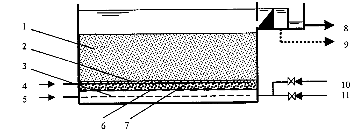 Process for treating sewage with zeolite filler in aerated biologic filter pool and zeolite filler