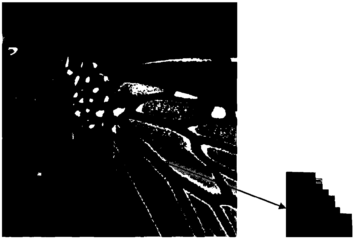 Elliptical search window and parameter self-adaption non-local mean value denoising method