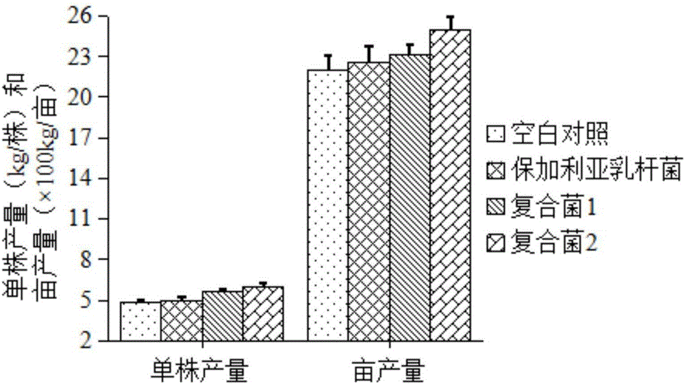 Composite lactobacillus agent for improving grape quality and preparation method of composite lactobacillus agent