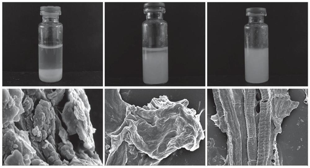 Citrus dietary fiber with high water-holding capacity and expansibility and preparation method of citrus dietary fiber