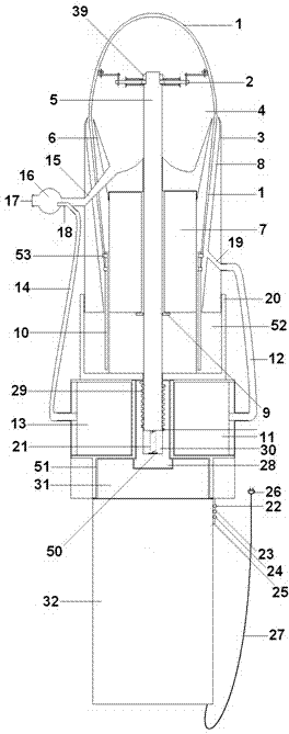 Suction and rotary scraping type endometrial epithelium cell gathering device for goat