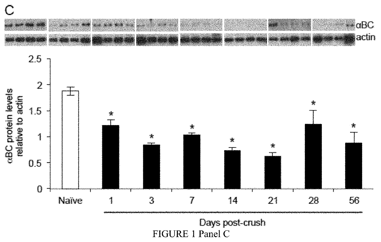 Methods for treating peripheral nerve injury