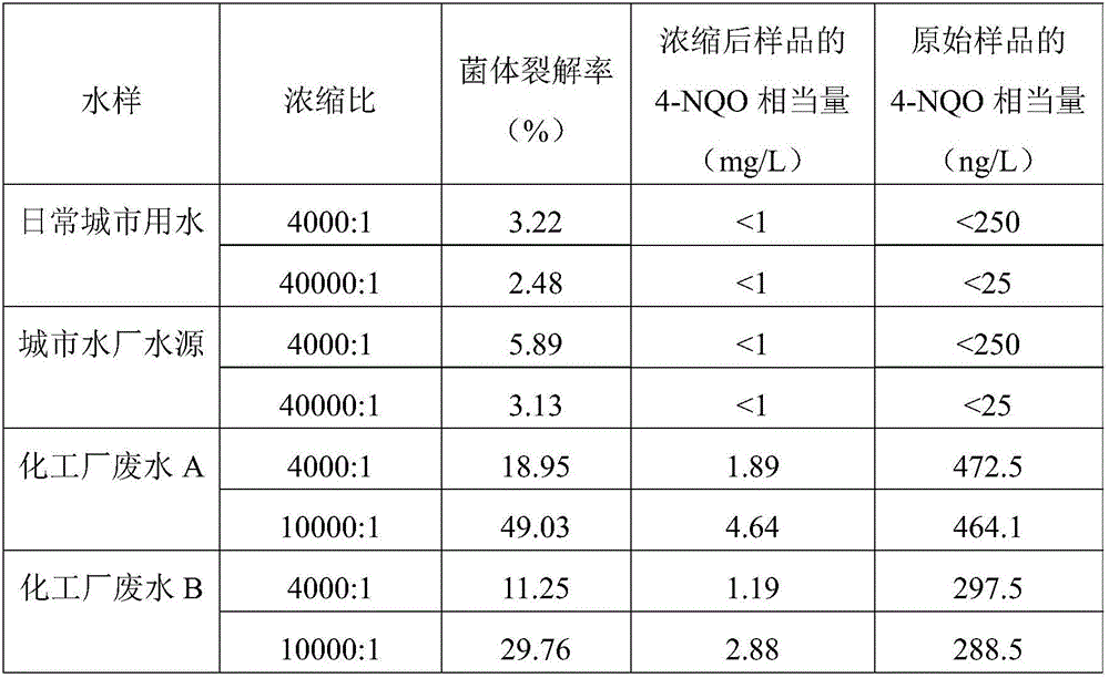 Genetic toxicant detection vector and detection method