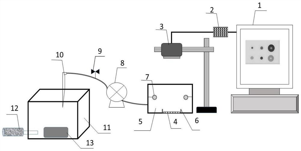 A device and method for the detection of cured pork meat based on a visual gas-sensing array