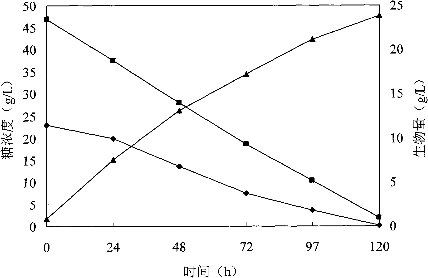 Preparation method of microbial oil