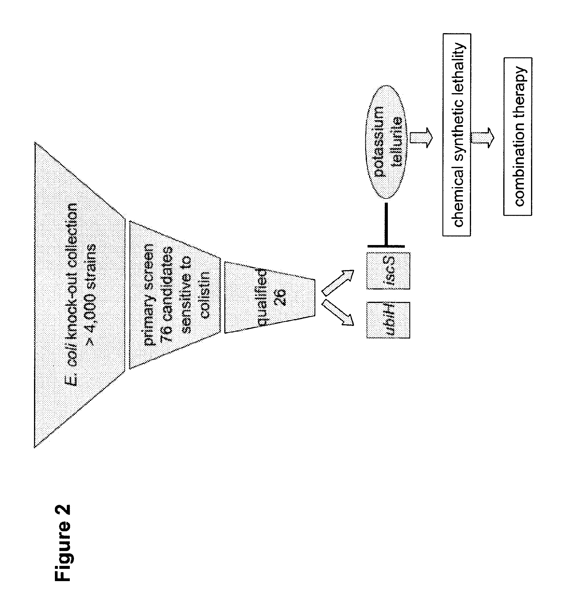 Compositions and methods to potentiate colistin activity