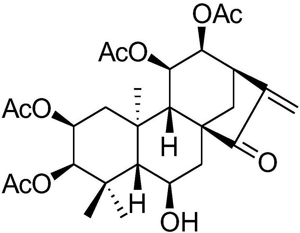 Compound separated out from labiatae isodon plant, and preparation method and application thereof