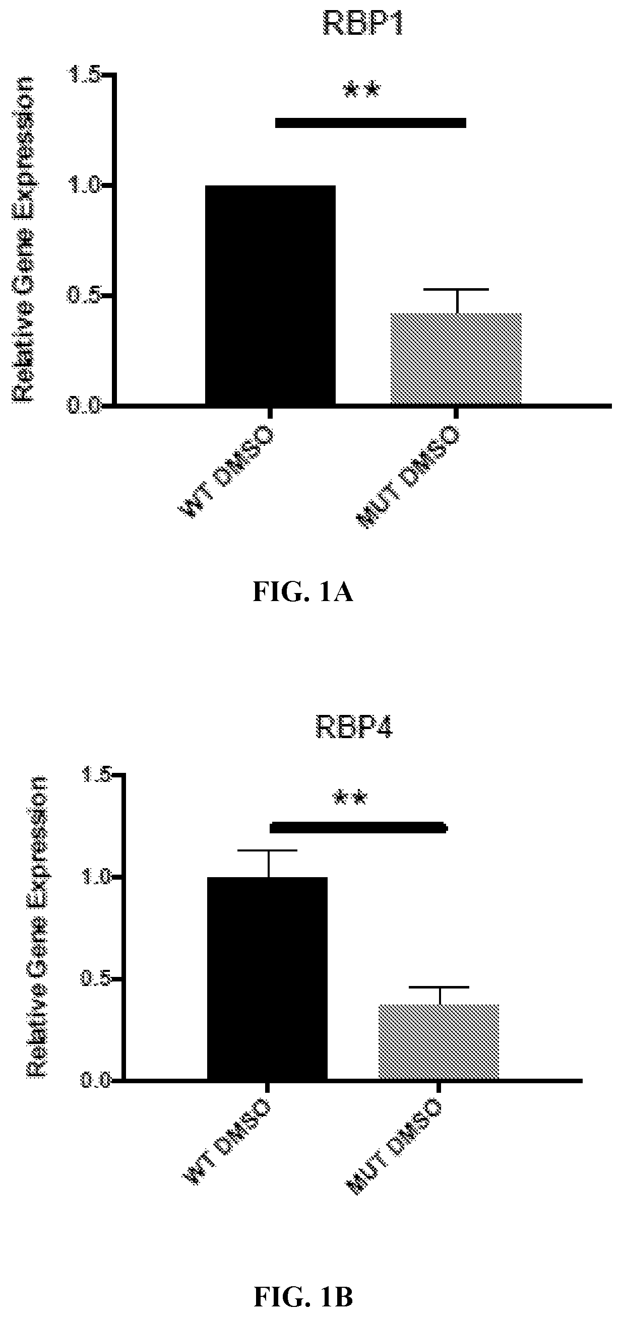 Retinoid compositions and methods of increasing immune cell-mediated killing of IDH mutant cancer cells