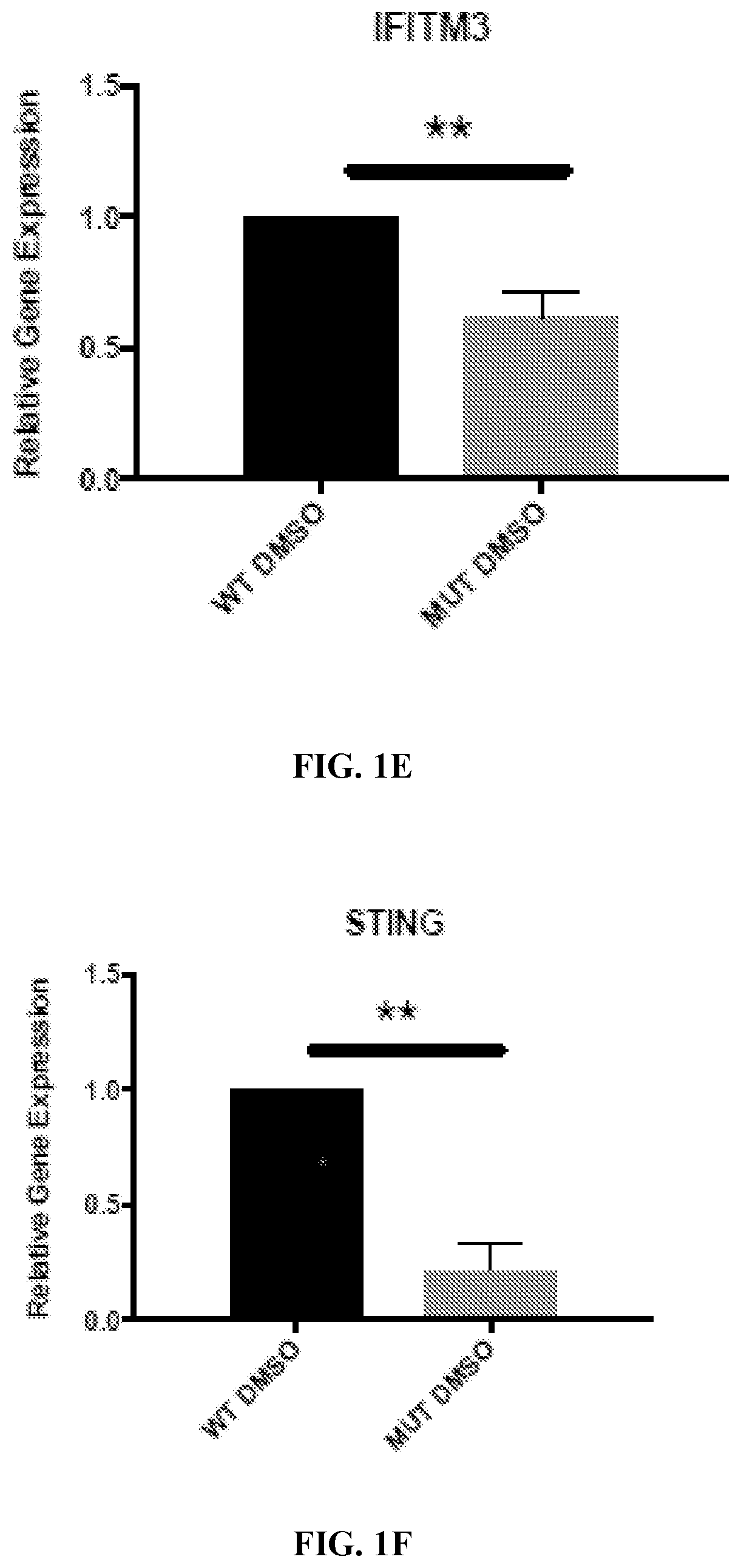 Retinoid compositions and methods of increasing immune cell-mediated killing of IDH mutant cancer cells