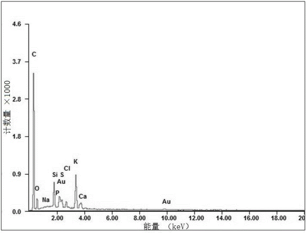 Heavy metal adsorbent and preparation method and application thereof