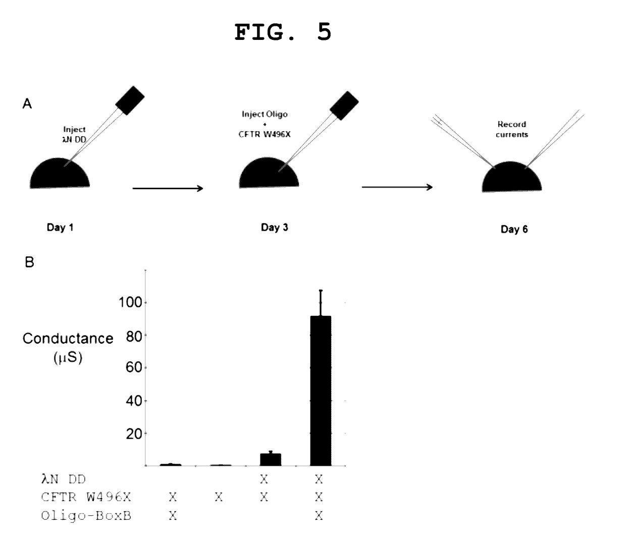 Site-directed RNA editing