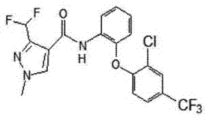 Bactericidal composition containing coumoxystrobin and florfenicol