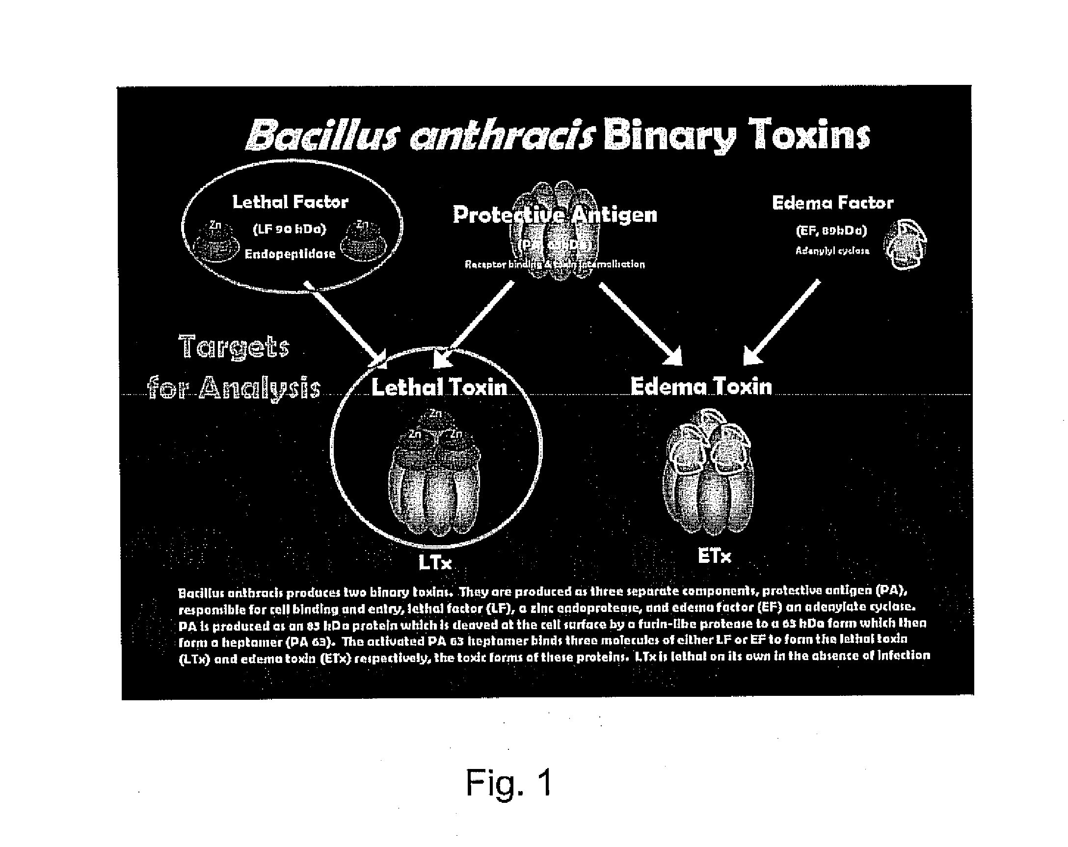 Detection of anthrax pathogenicity factors