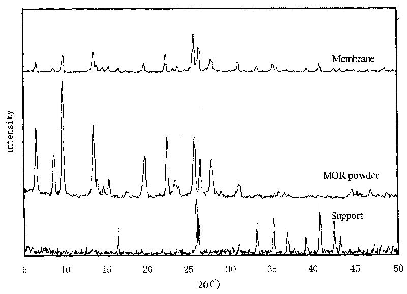 Method for preparing fluorine-containing mordenite zeolite membrane