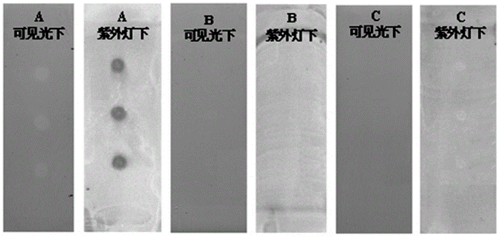 A method for screening antioxidant active ingredients