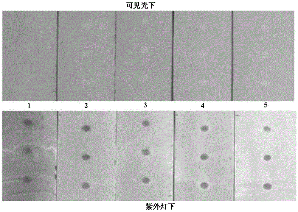 A method for screening antioxidant active ingredients