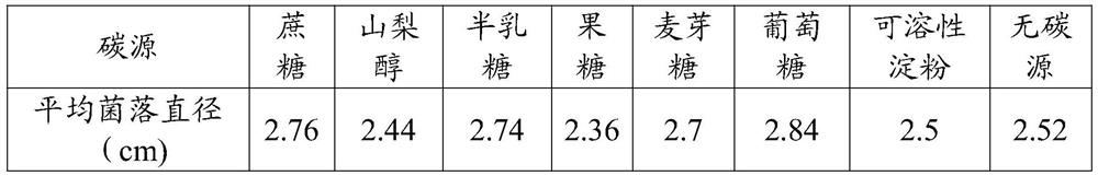 Bacterial strain of pathogen of Amomum villosum seedling blight and application thereof