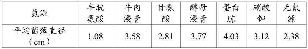 Bacterial strain of pathogen of Amomum villosum seedling blight and application thereof