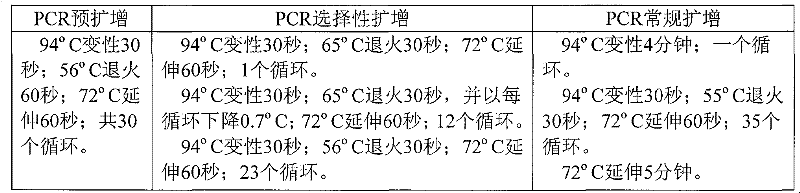 Lepidoptera transposon gene tpa and application thereof