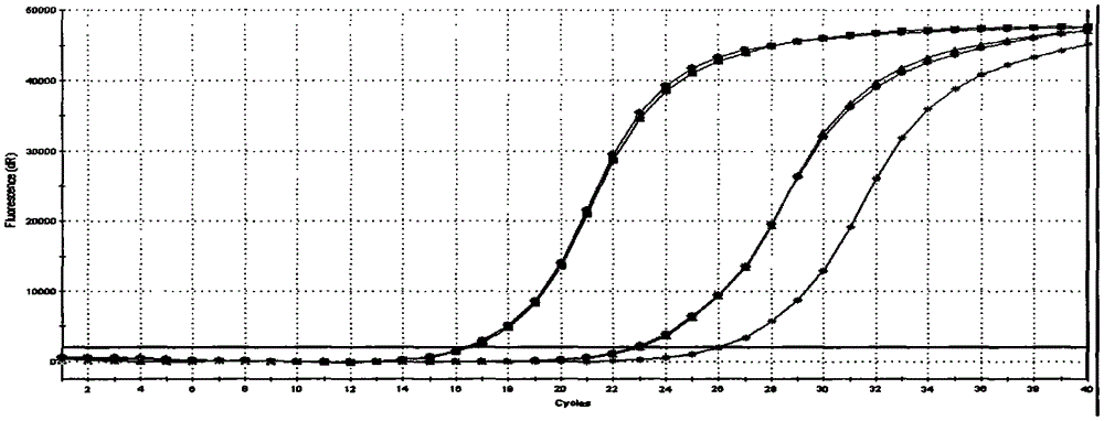 MiRNA detection kit for lung cancer prognostic prediction