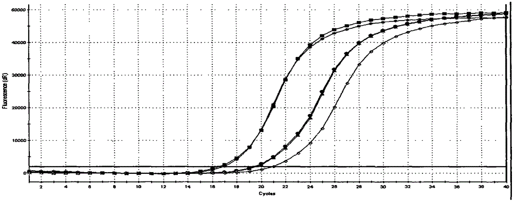 MiRNA detection kit for lung cancer prognostic prediction